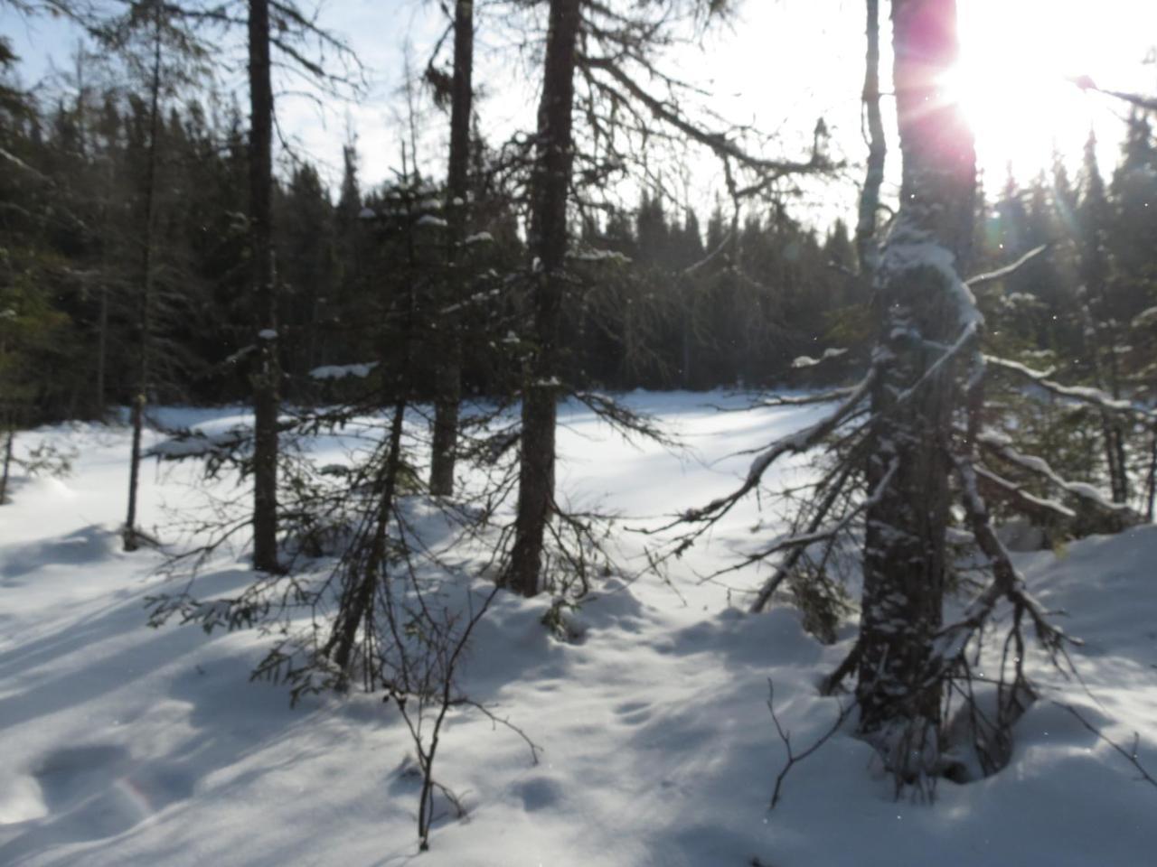 Residence Touristique Lodge Des Bois Saint-Félix-d'Otis Dış mekan fotoğraf