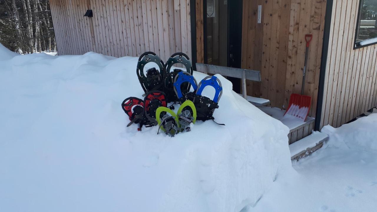 Residence Touristique Lodge Des Bois Saint-Félix-d'Otis Dış mekan fotoğraf